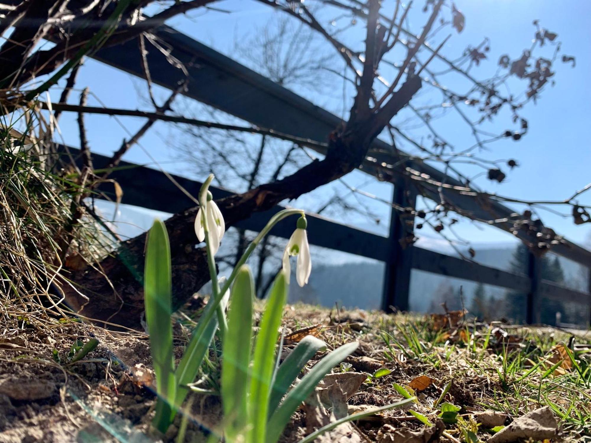 Romanka Zabnica Esterno foto