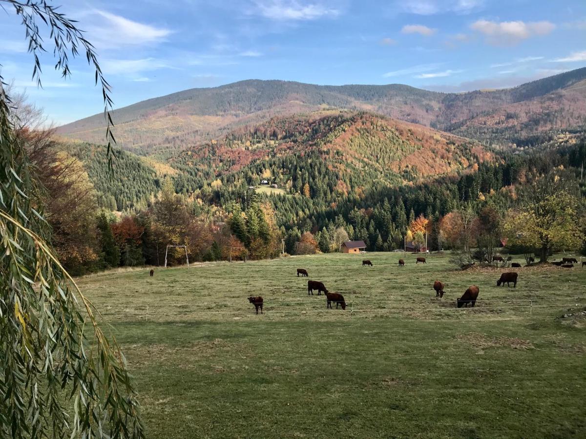 Romanka Zabnica Esterno foto